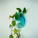 گلدان دیوار افسون شیشه آرا